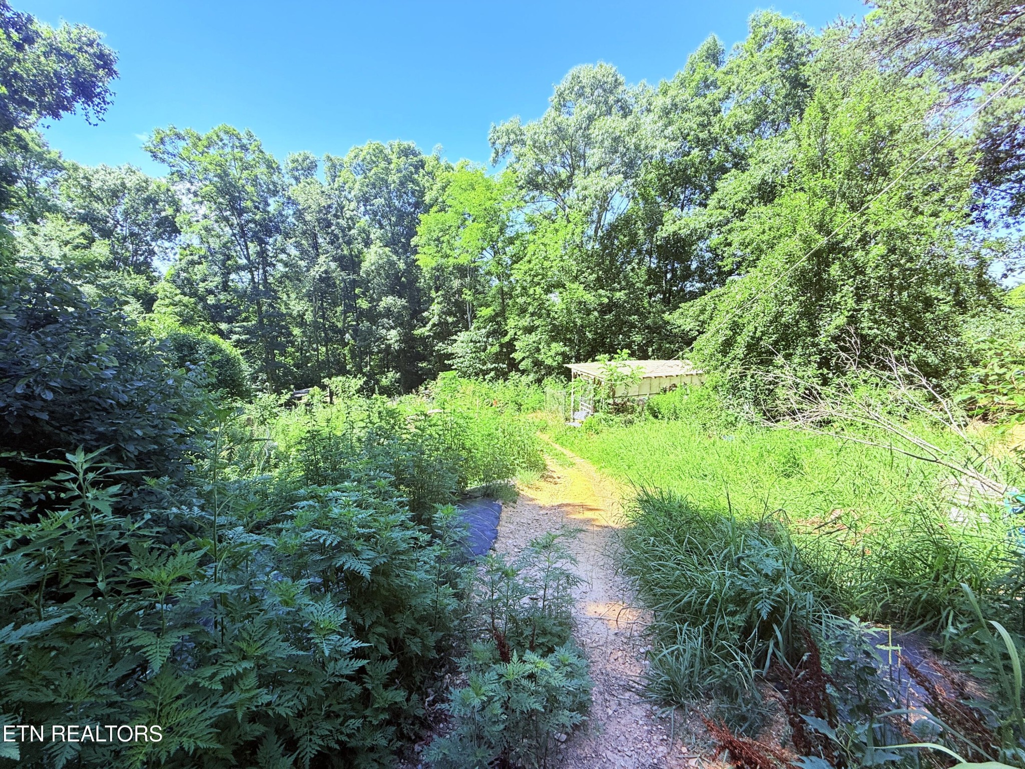 1040 Sturmhaben Way Property Photo 29