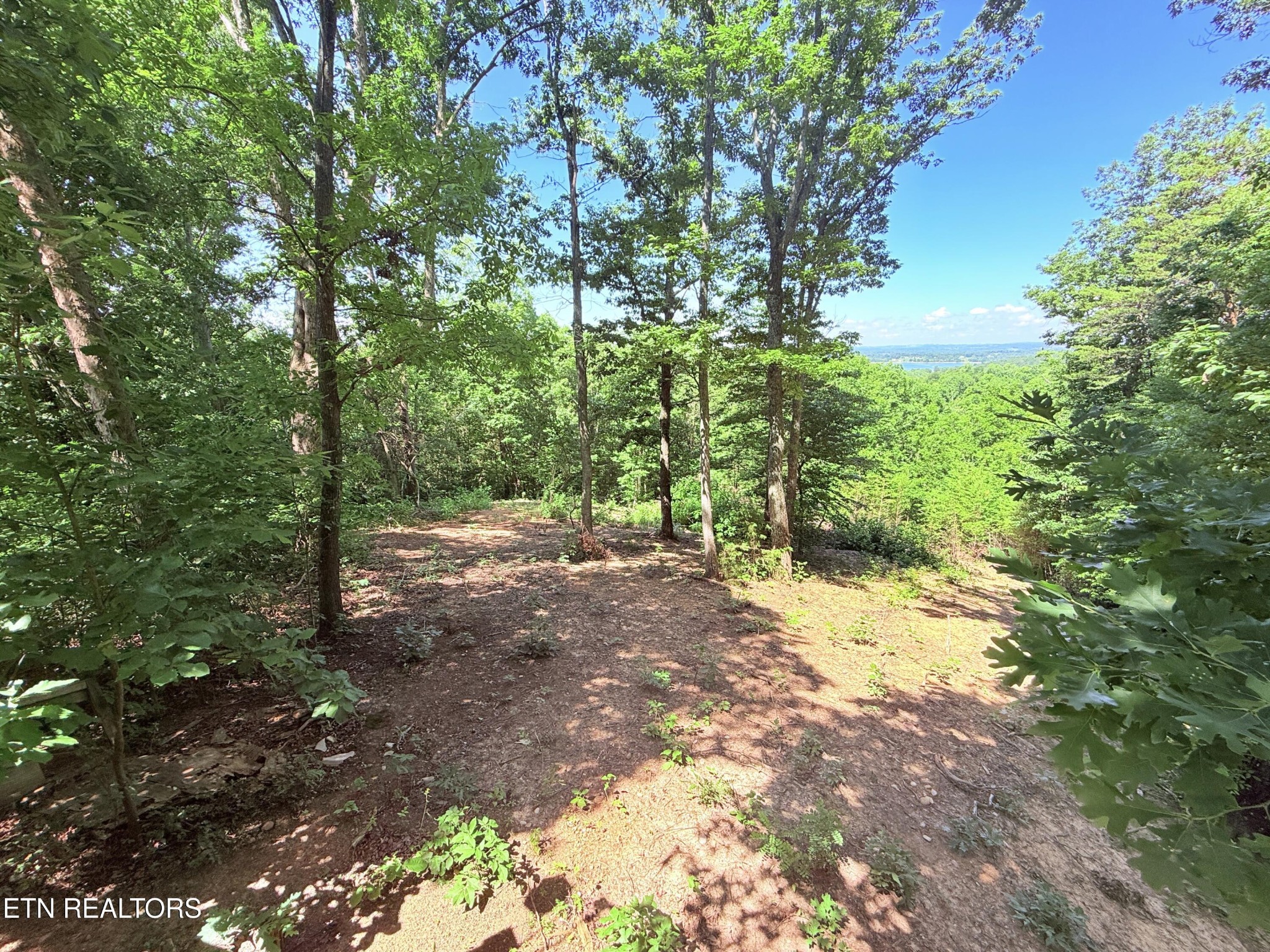 1040 Sturmhaben Way Property Photo 31
