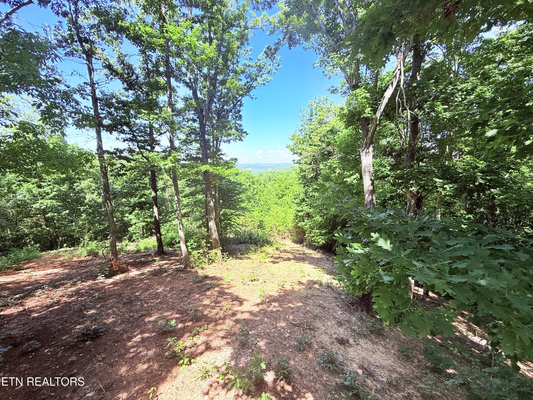 1040 Sturmhaben Way Property Photo 32