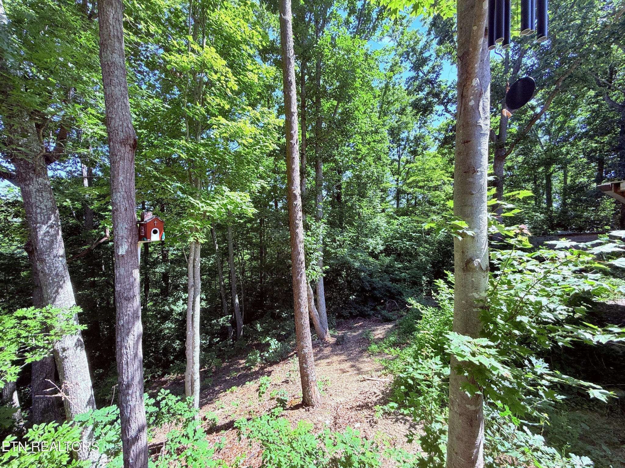 1040 Sturmhaben Way Property Photo 33