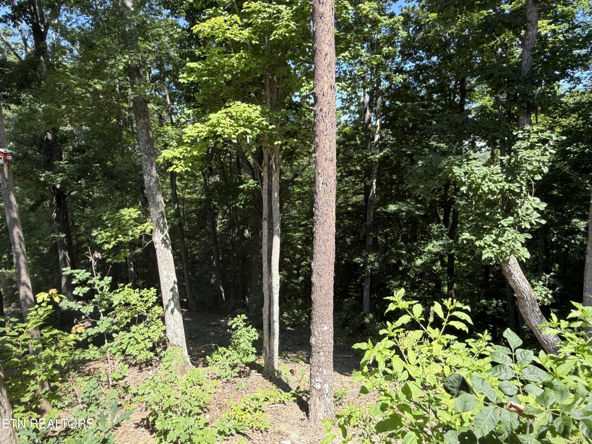 1040 Sturmhaben Way Property Photo 34