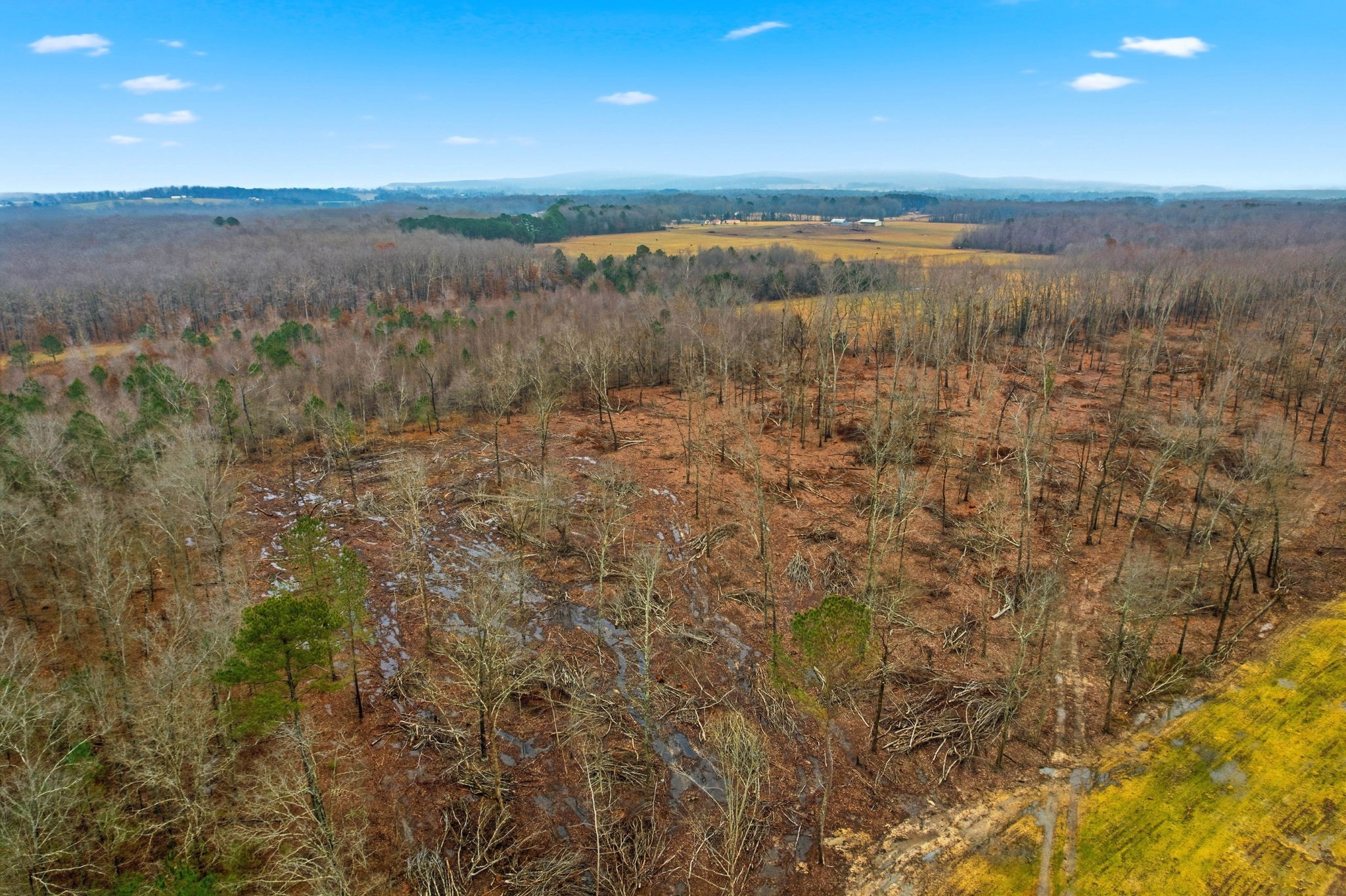0 Whitaker Rd Property Photo 13