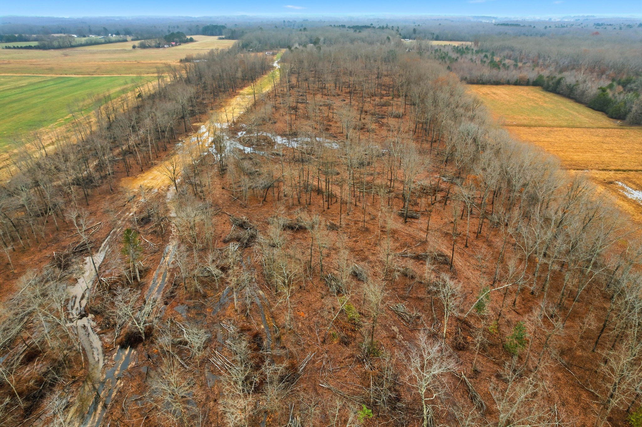 0 Whitaker Rd Property Photo 15
