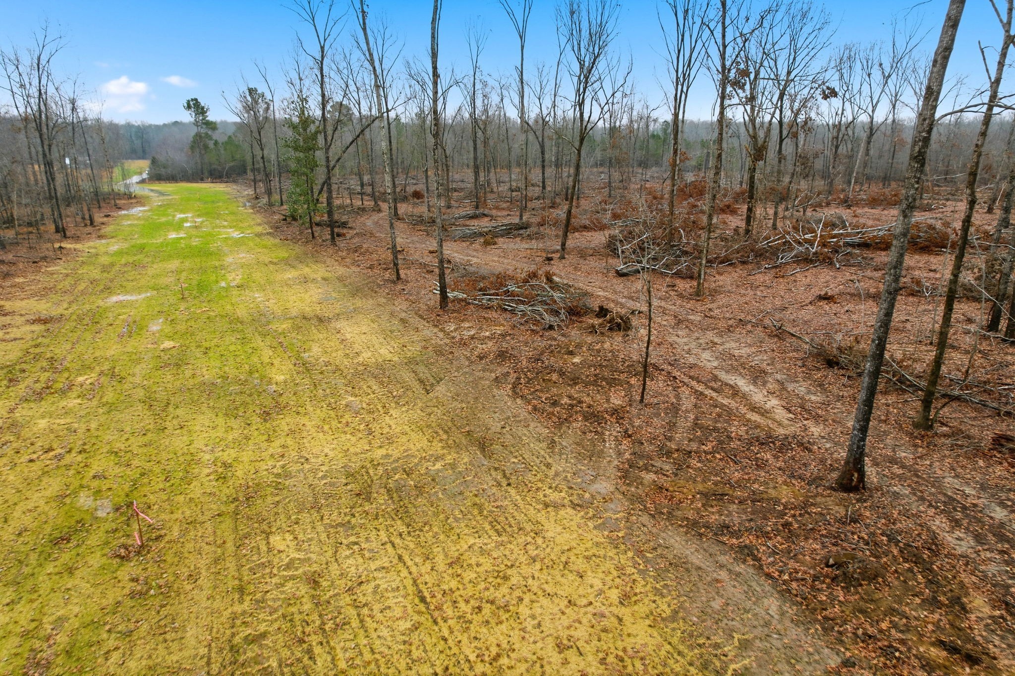 0 Whitaker Lane Property Photo 13