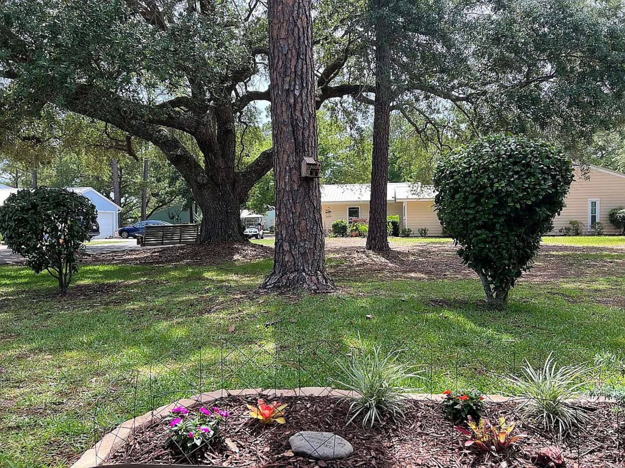 1229 Hummingbird Ln Property Photo 7
