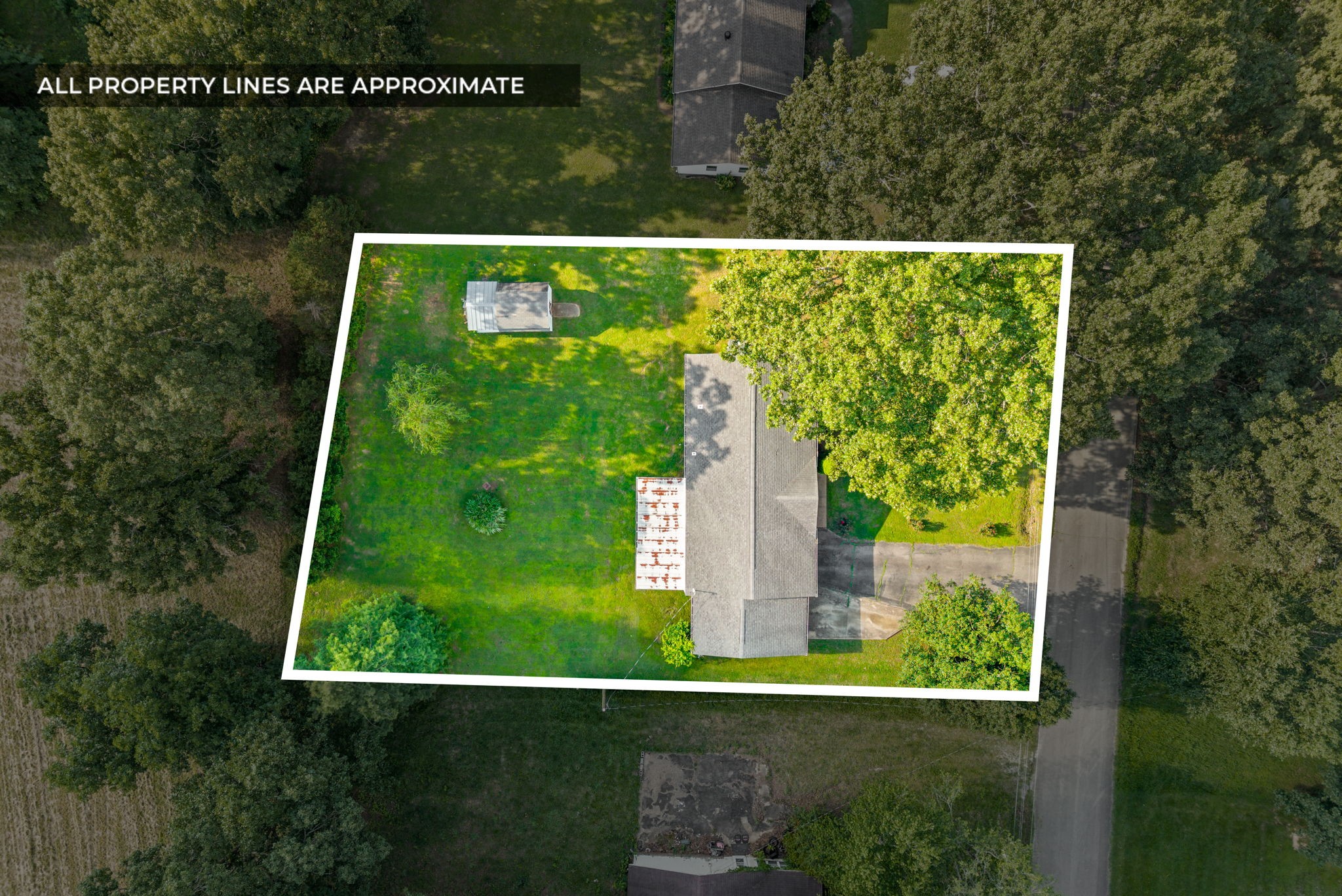 103 Hazelnut Ave Property Photo 4