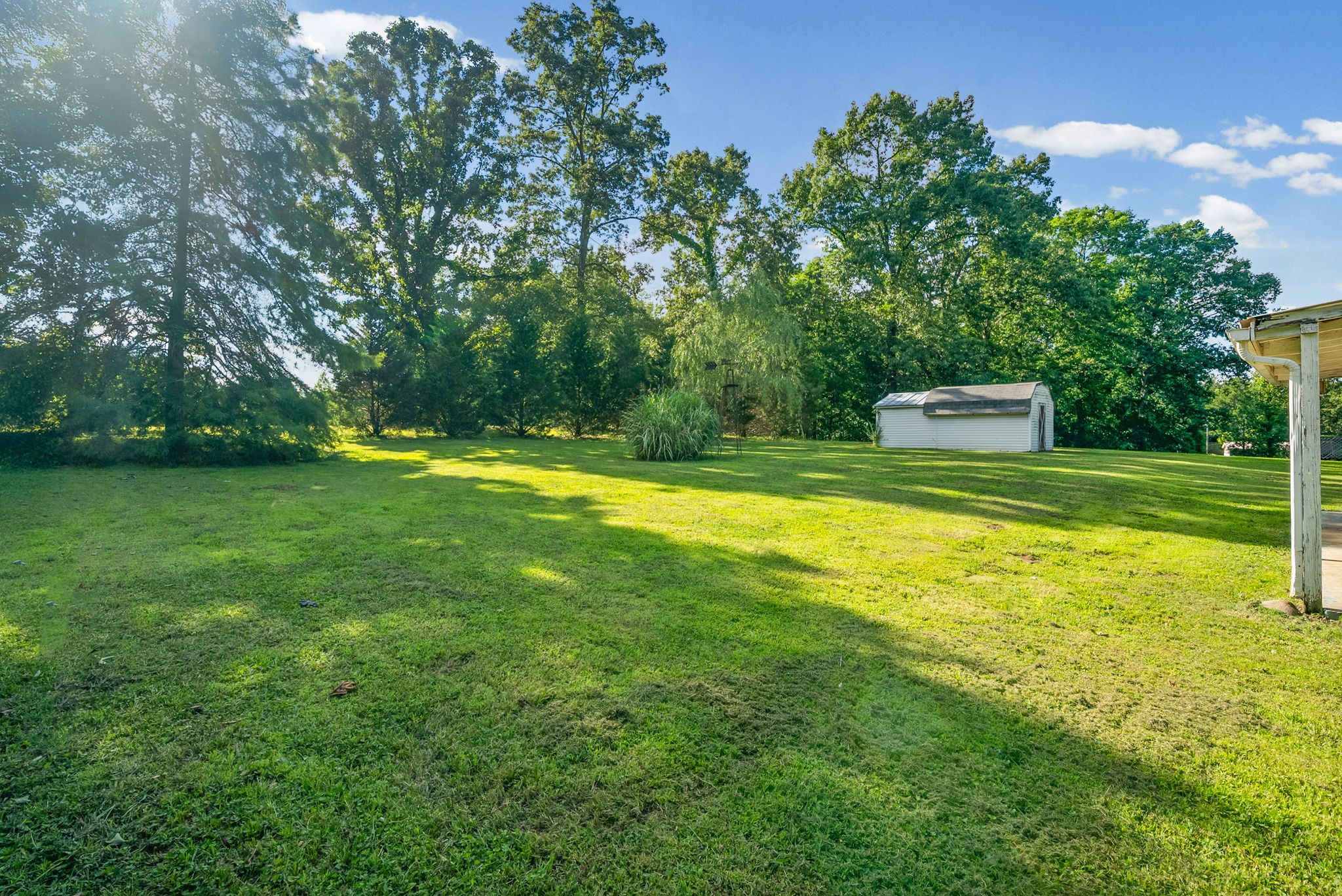 103 Hazelnut Ave Property Photo 28