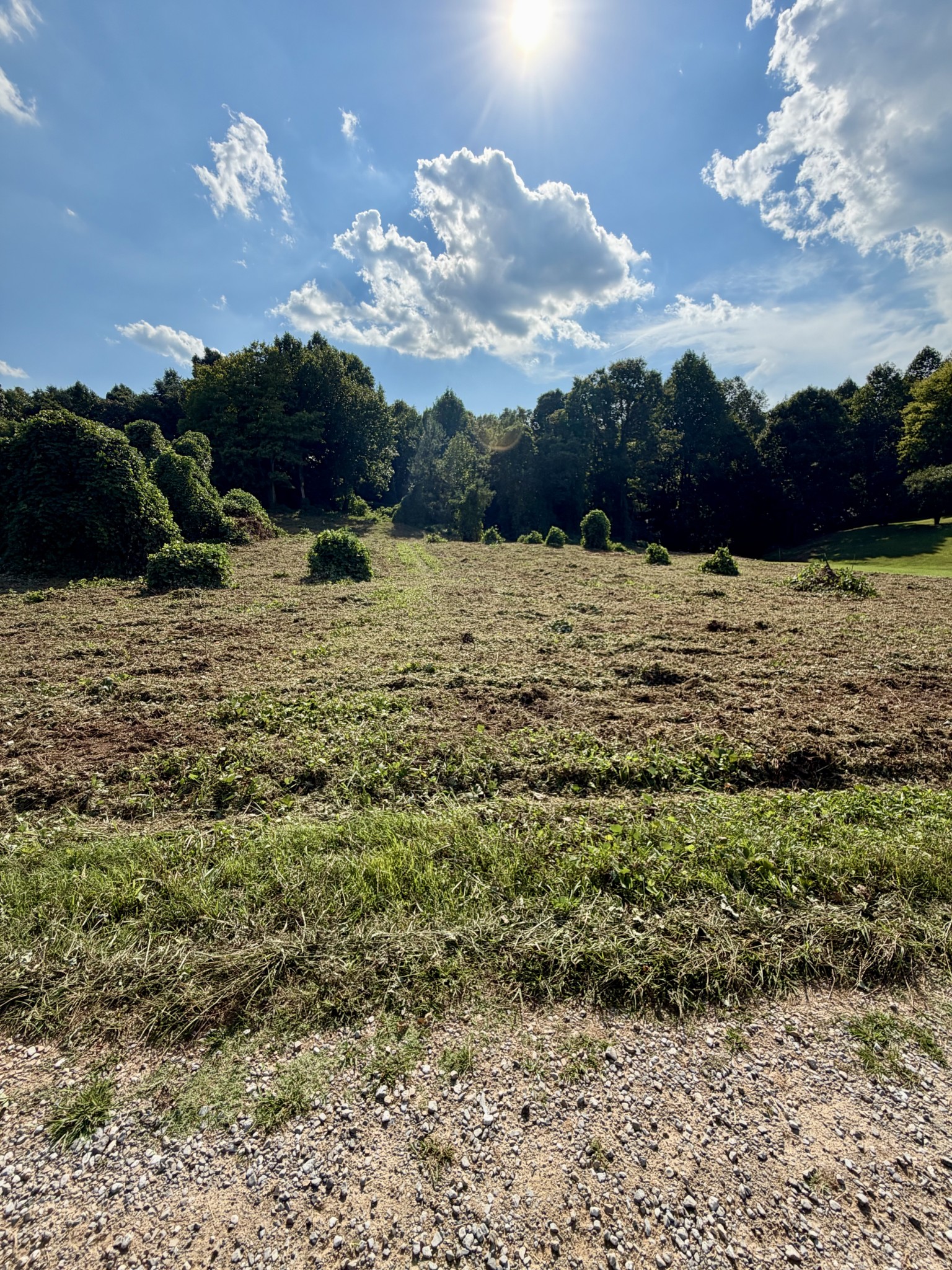 140 Scenic View Lane