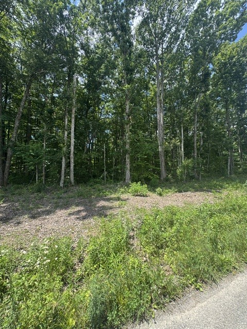0 East Fork Ln Property Photo 1