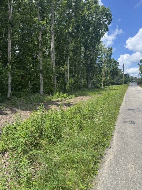 0 East Fork Ln Property Photo 3