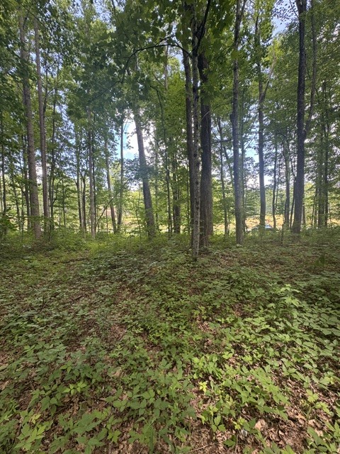 0 East Fork Ln Property Photo 6