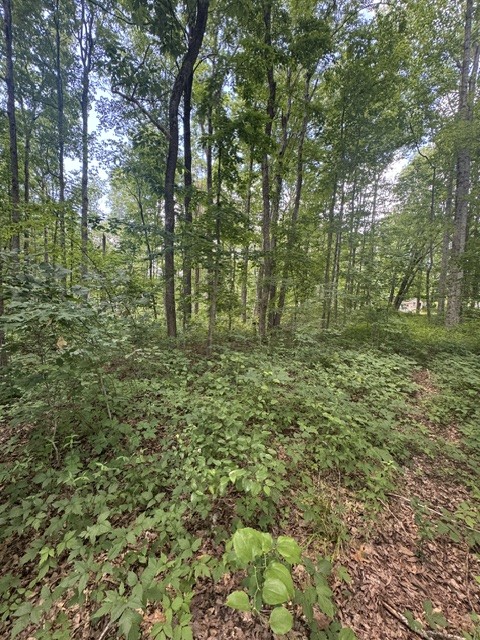 0 East Fork Ln Property Photo 7