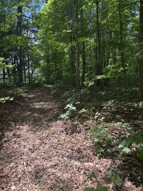 0 East Fork Ln Property Photo 8