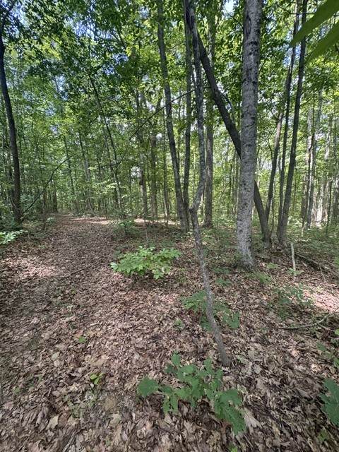 0 East Fork Ln Property Photo 10