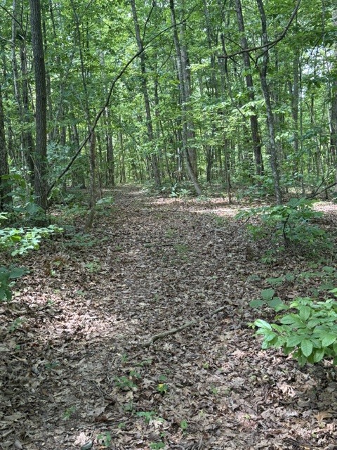 0 East Fork Ln Property Photo 11