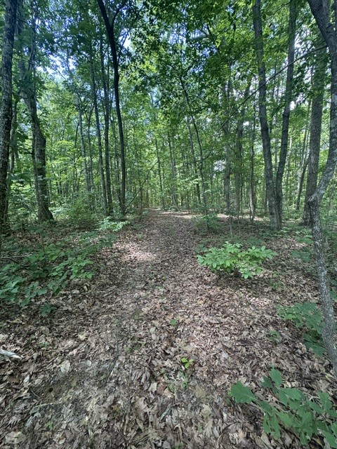 0 East Fork Ln Property Photo 12