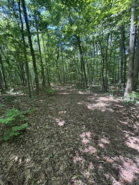 0 East Fork Ln Property Photo 13