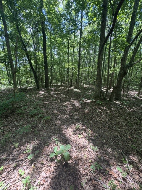 0 East Fork Ln Property Photo 16
