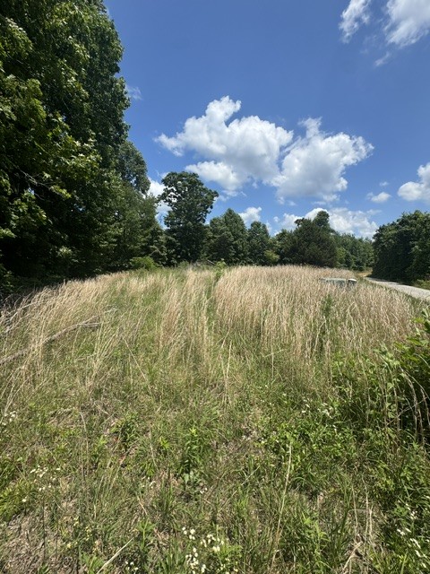 0 Claude Hargis Ln Property Photo 1