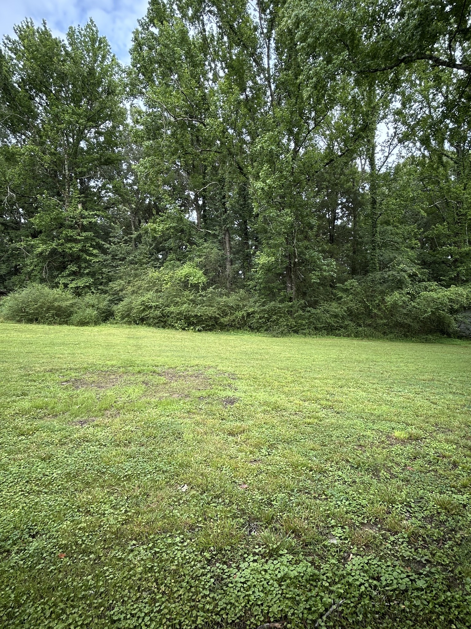 161 Post Oak Ave Property Photo 22