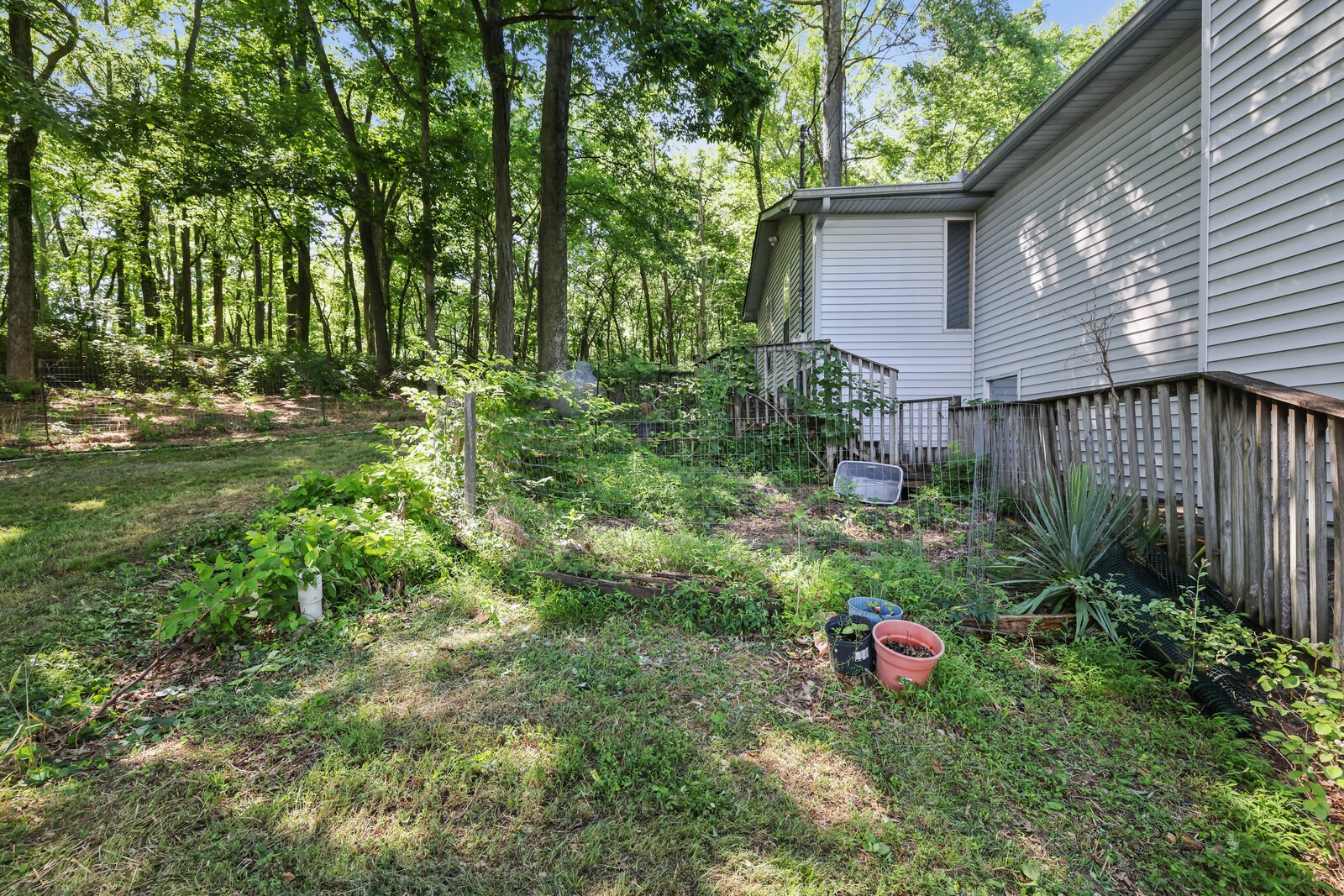 1153 Bear Creek Pike Property Photo 55