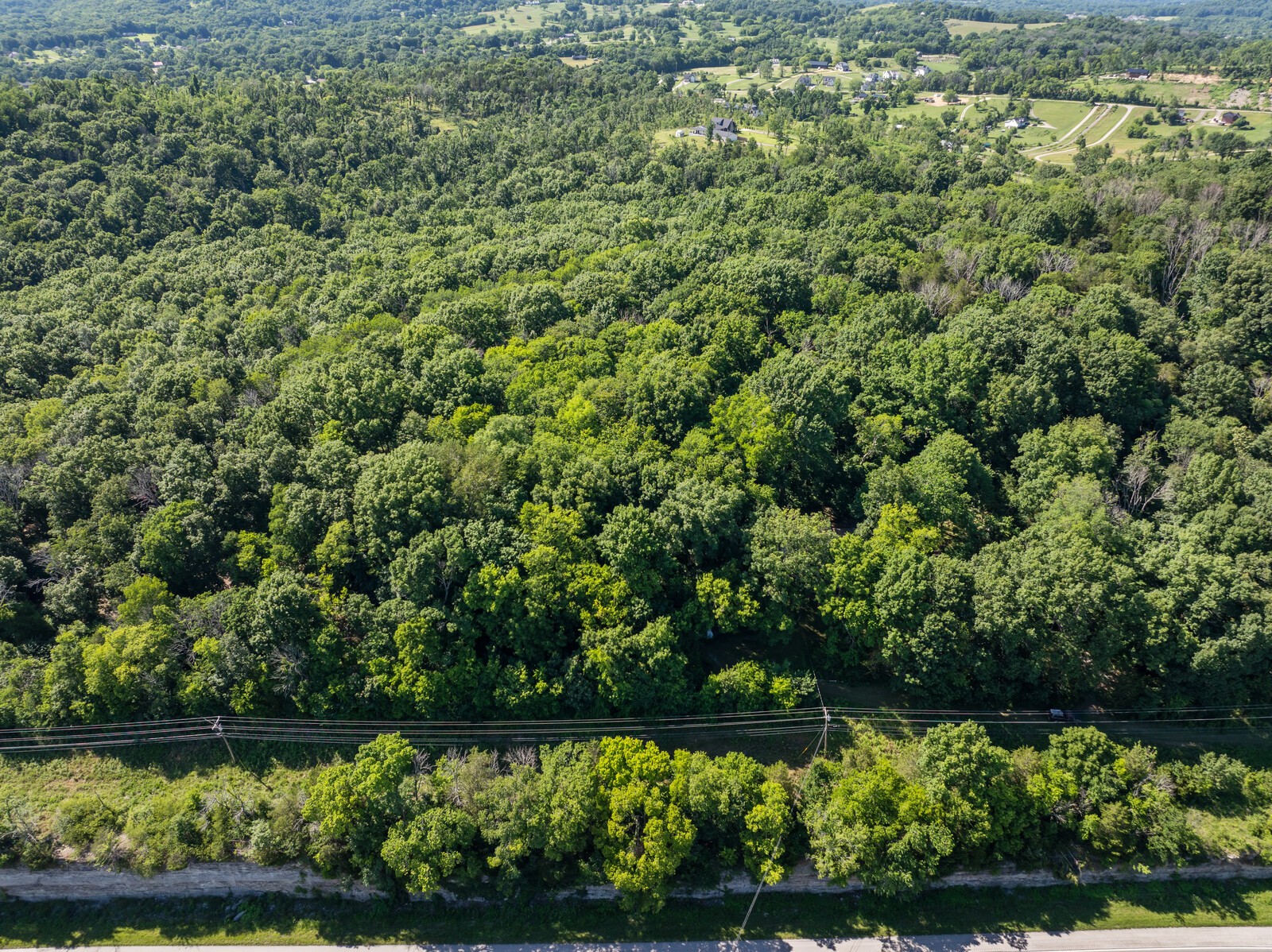 1153 Bear Creek Pike Property Photo 58