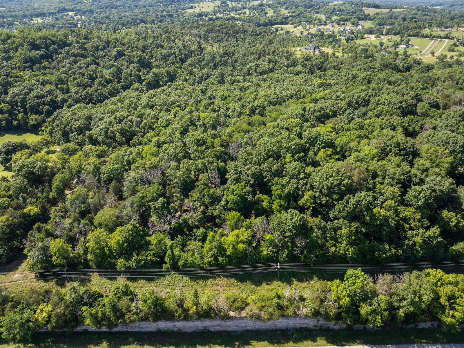1153 Bear Creek Pike Property Photo 59
