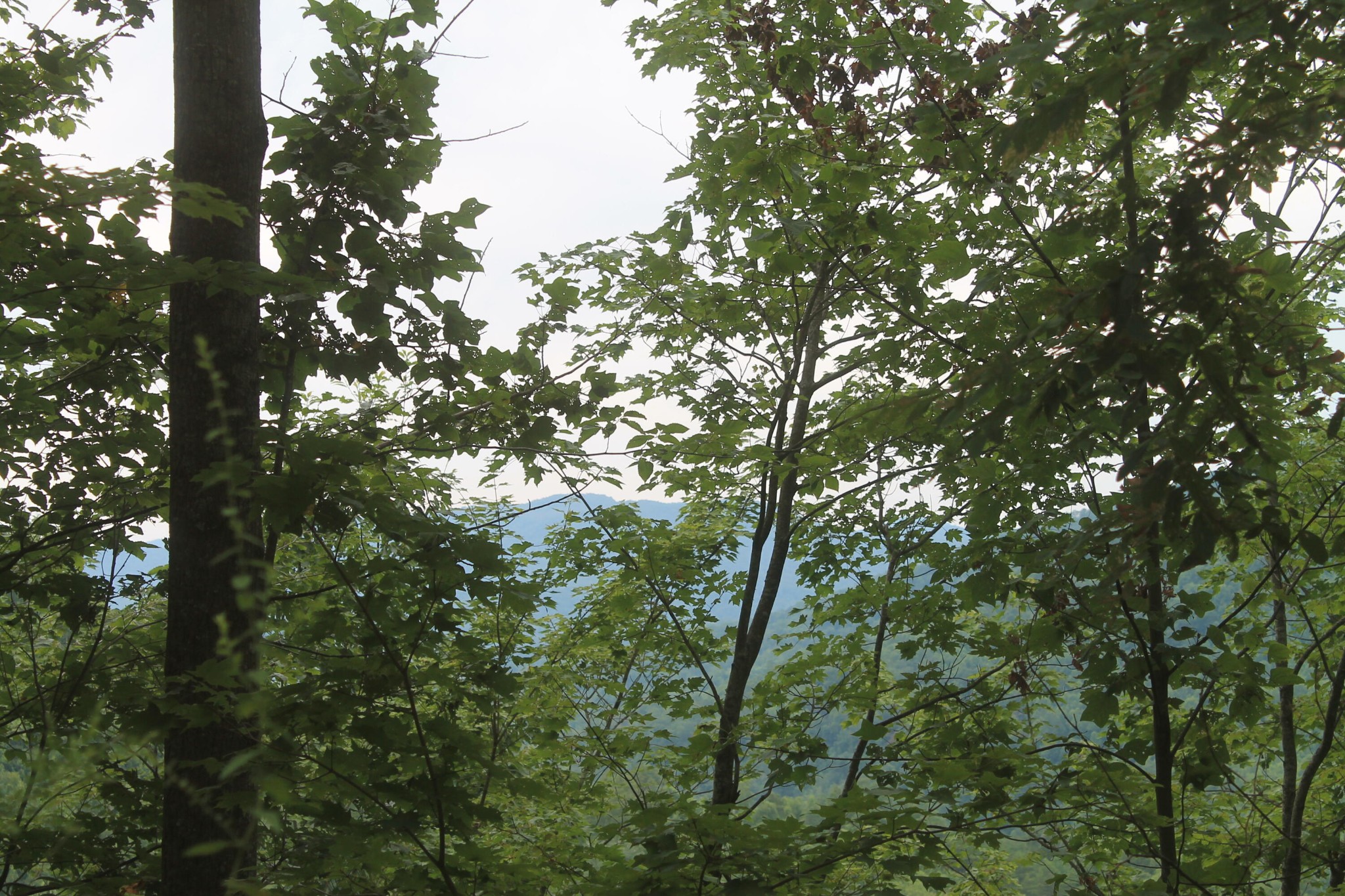 3 Straight Fork Road Property Photo 2