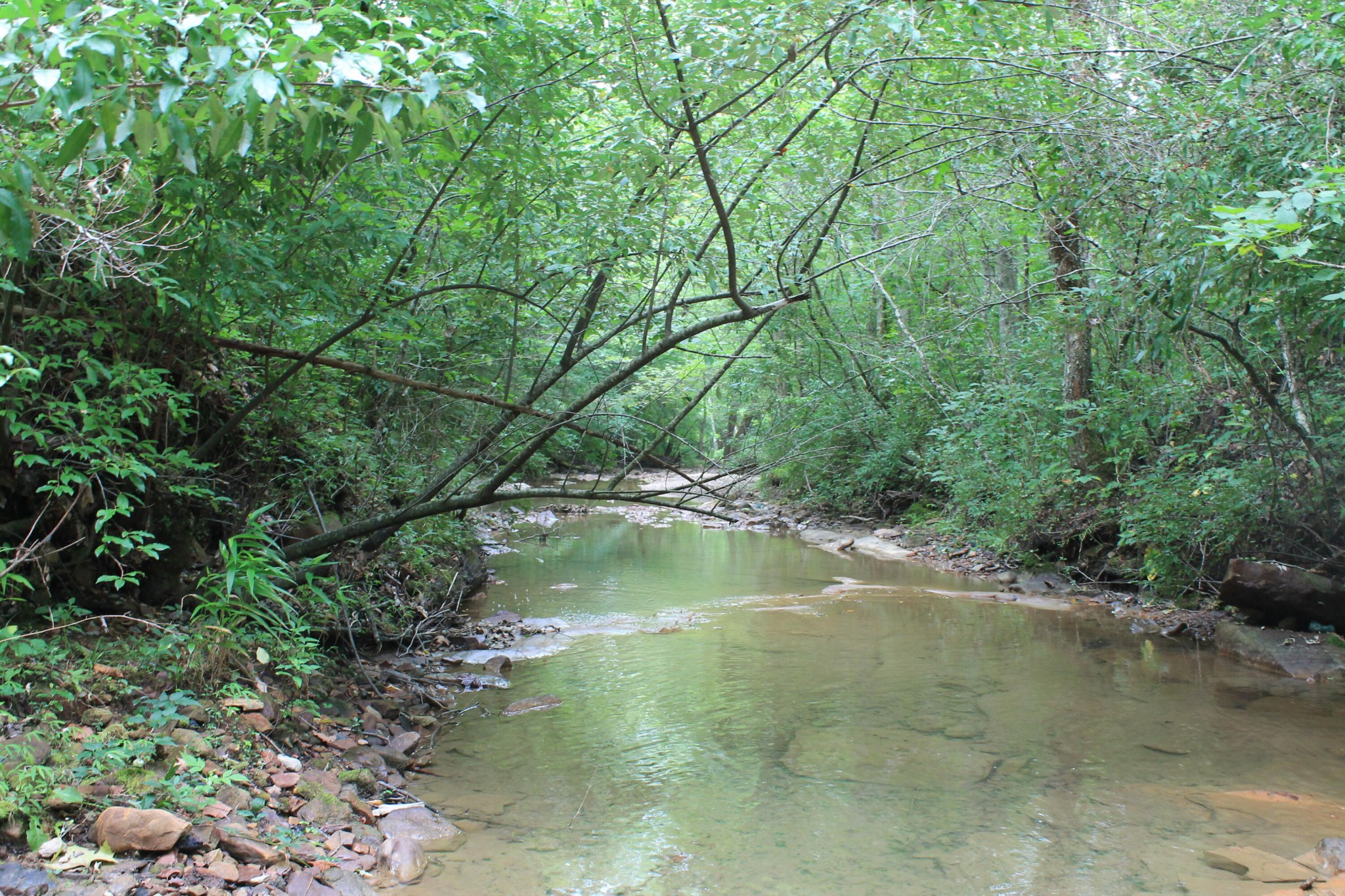 3 Straight Fork Road Property Photo 3