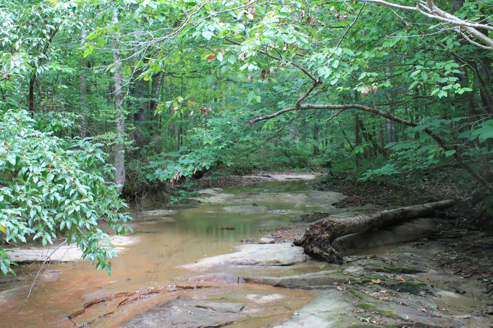3 Straight Fork Road Property Photo 4
