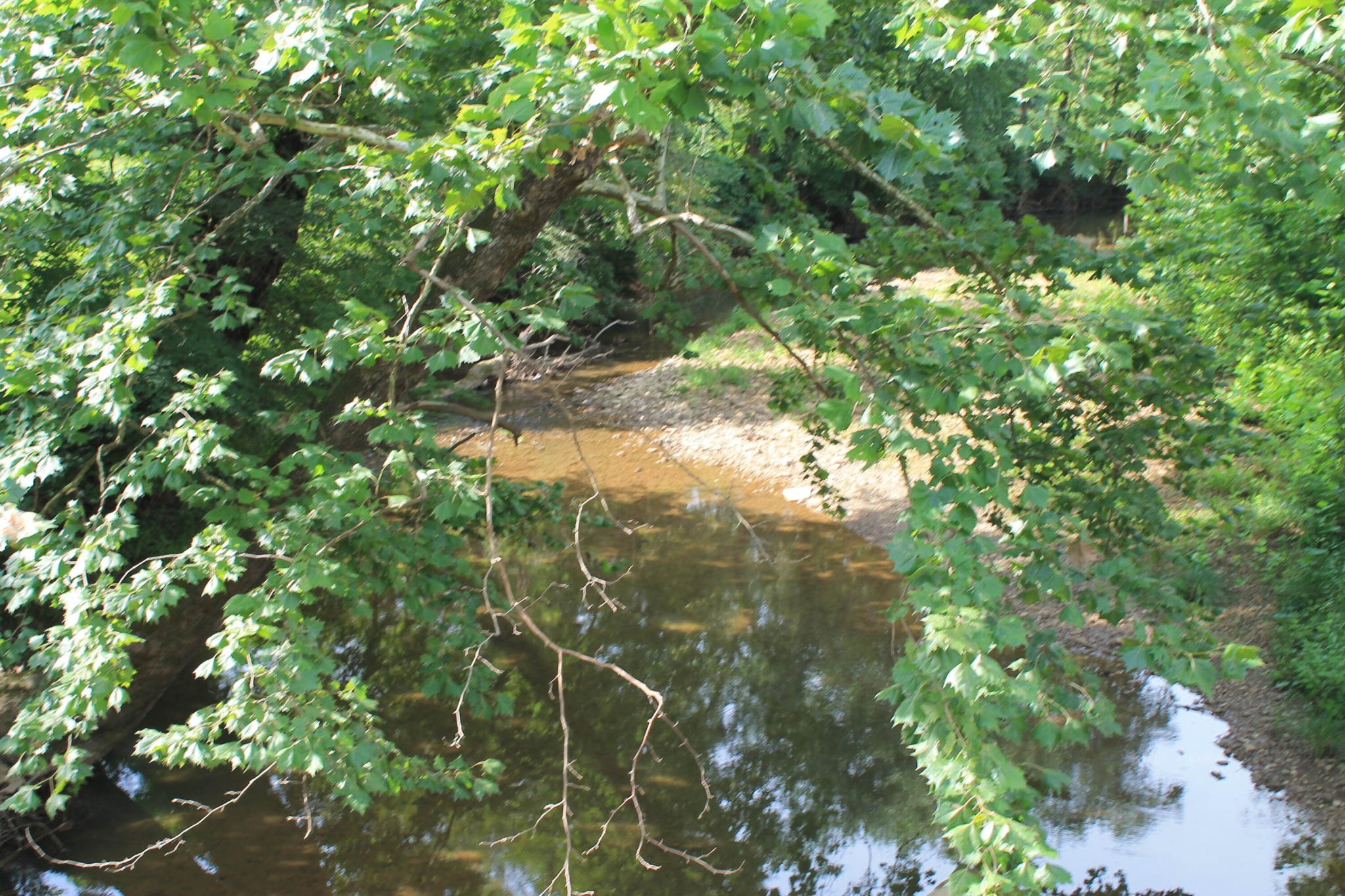 3 Straight Fork Road Property Photo 5