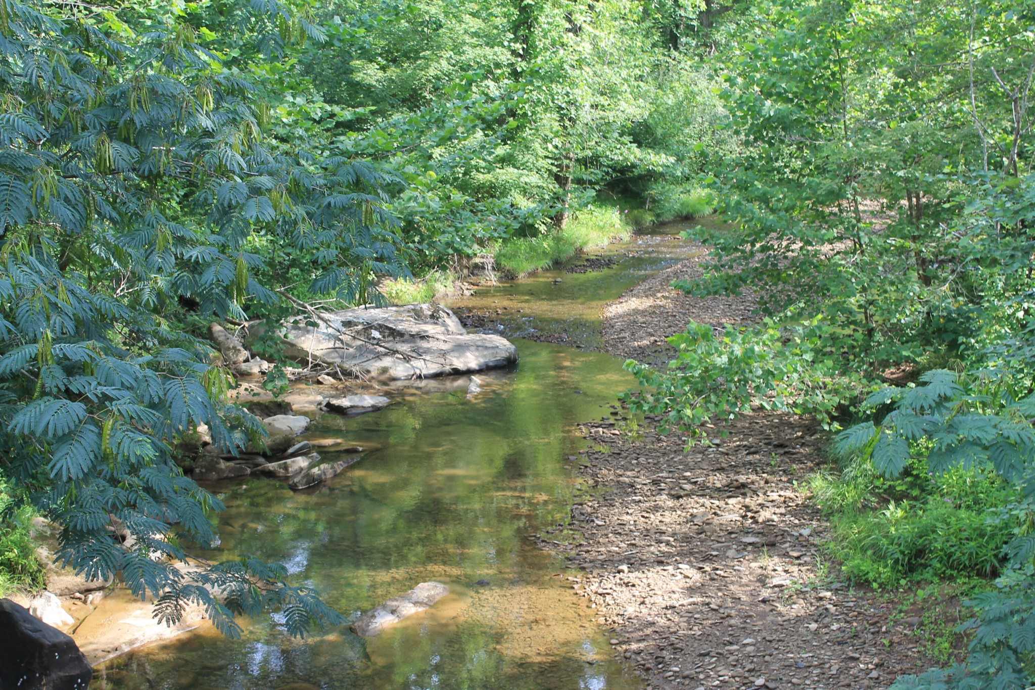 3 Straight Fork Road Property Photo 6