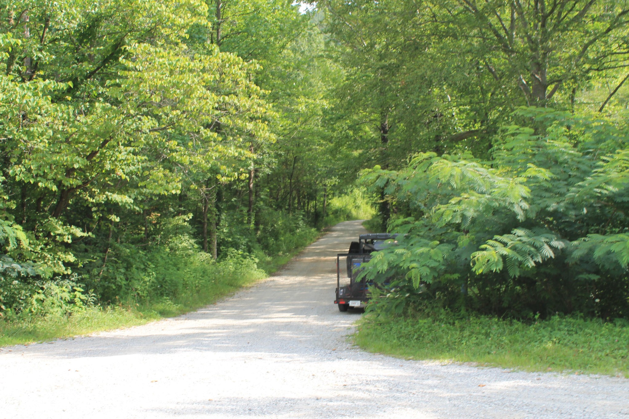 3 Straight Fork Road Property Photo 8