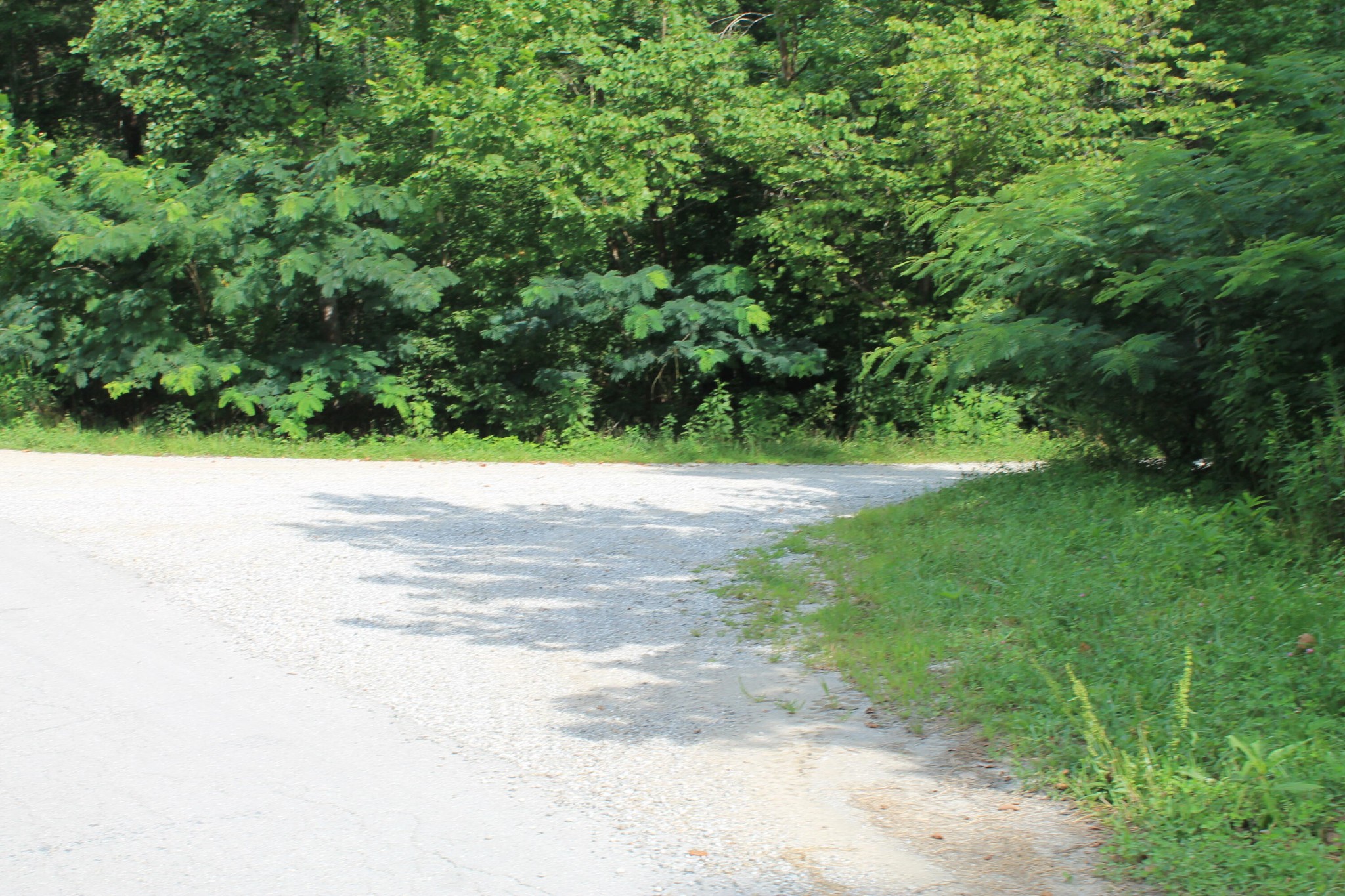 3 Straight Fork Road Property Photo 9