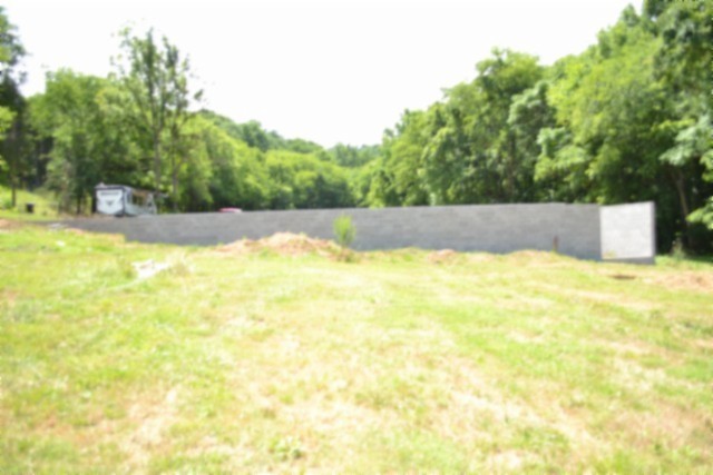425 Baugh Hollow Ln Property Photo 1