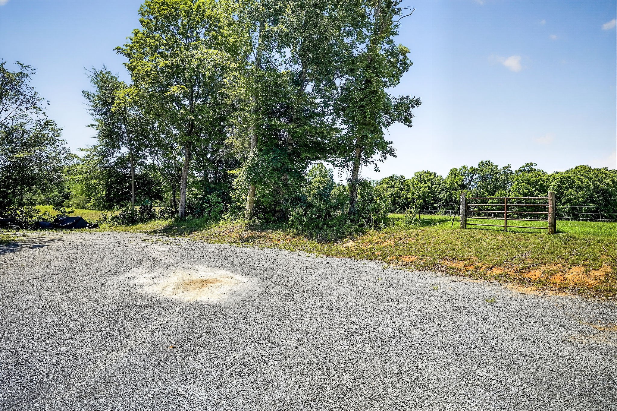359 Allen Sells Ln Property Photo 14