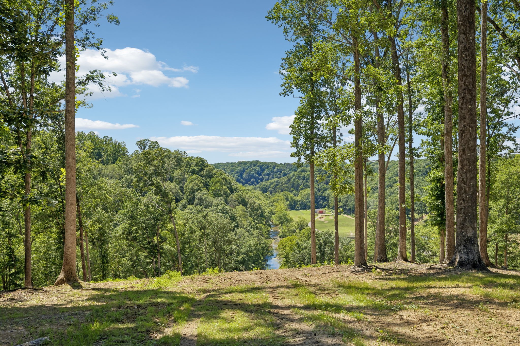 0 Axis Ridge Property Photo 3