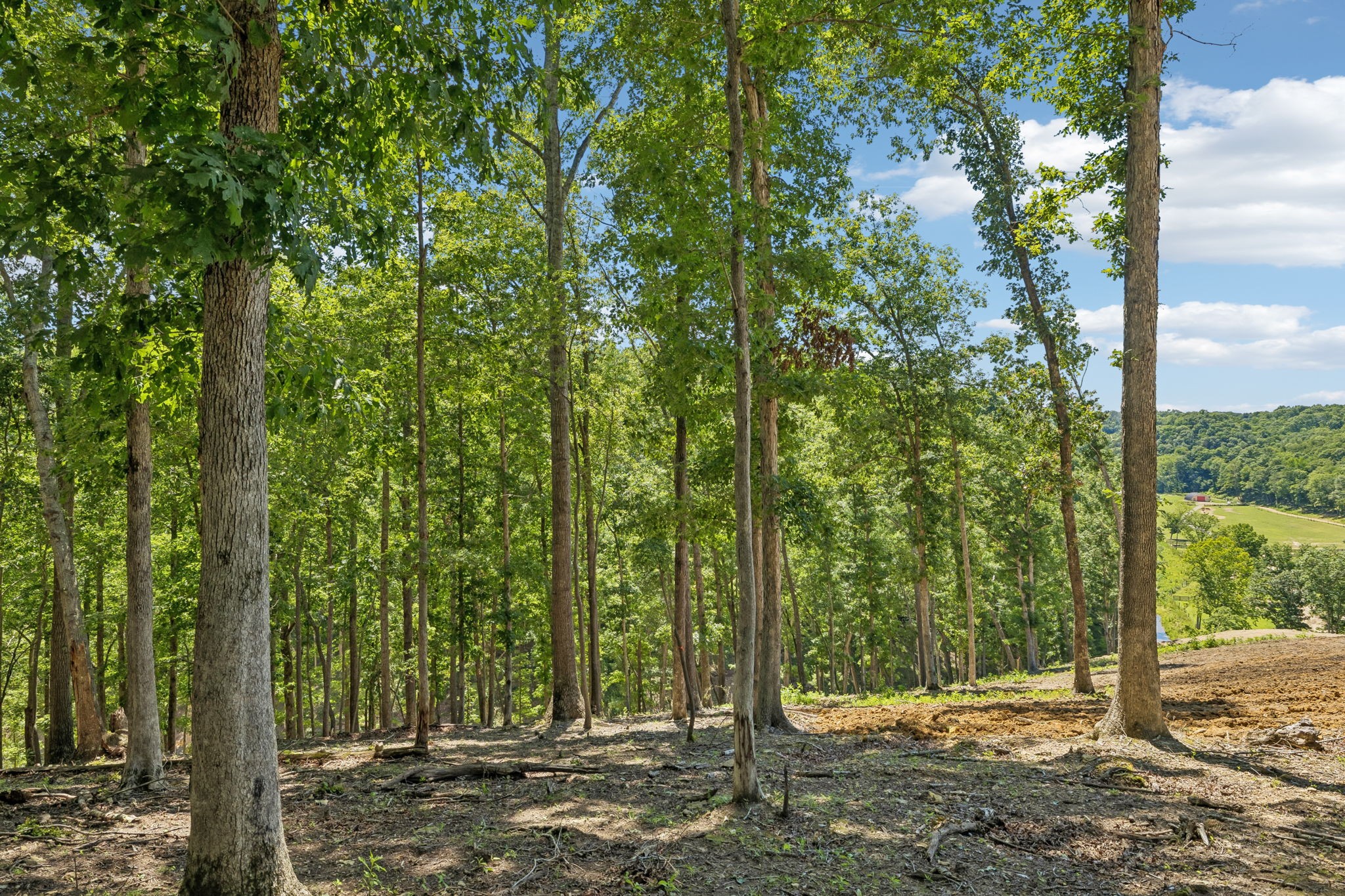 0 Axis Ridge Property Photo 6