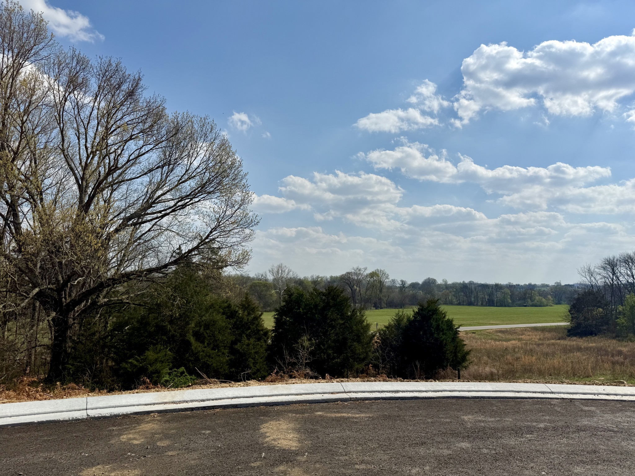 6235 Creole Lane Property Photo 1