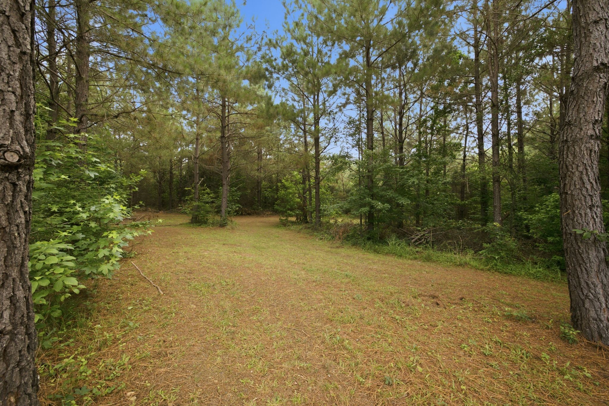 1405 Trace Creek Rd Property Photo 40