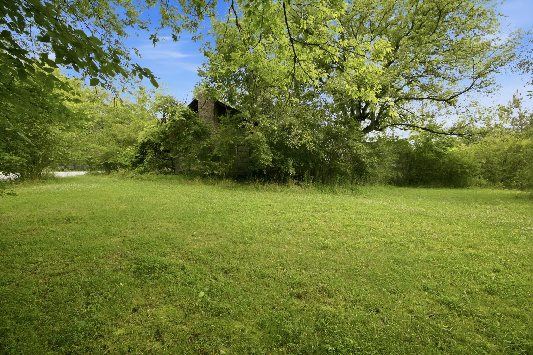 1405 Trace Creek Rd Property Photo 47