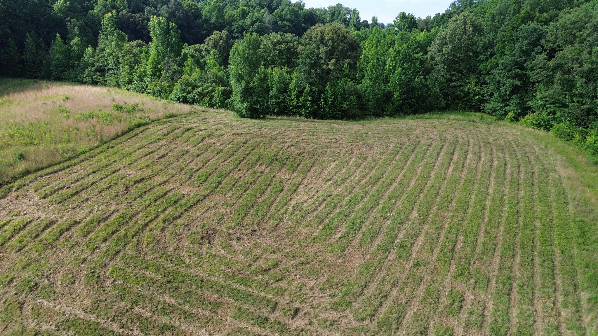 0 Summer Breeze Dr Property Photo 1