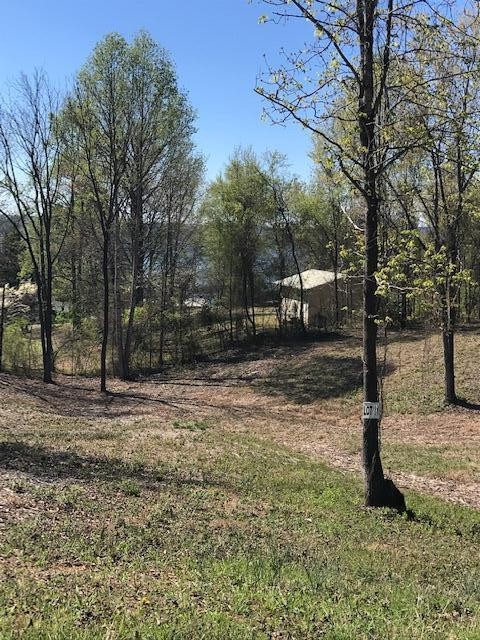 11 Piney View Drive Property Photo 1