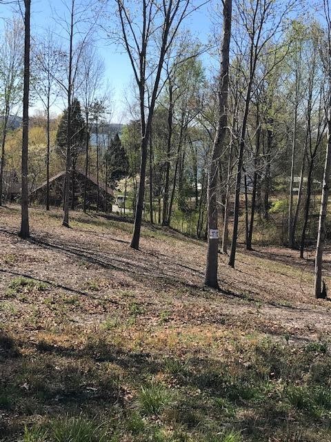 12 Piney View Drive Property Photo 1