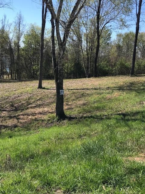 10 Piney View Drive Property Photo 1