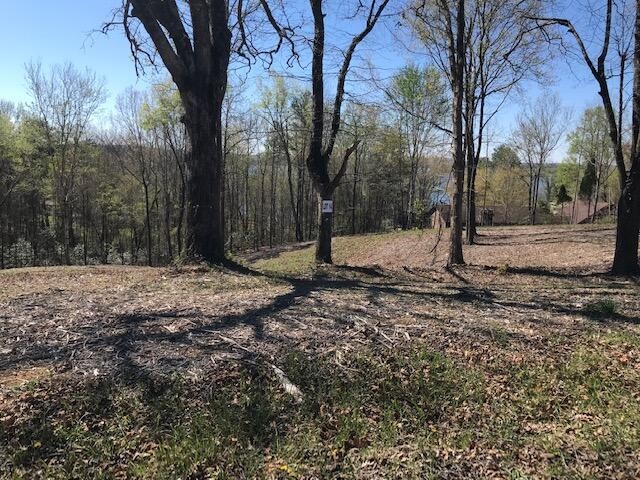 14 Piney View Drive Property Photo 1
