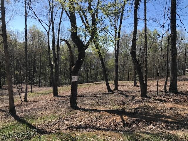 15 Piney View Drive Property Photo 1