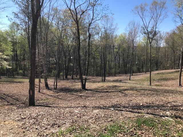 16 Piney View Drive Property Photo 1