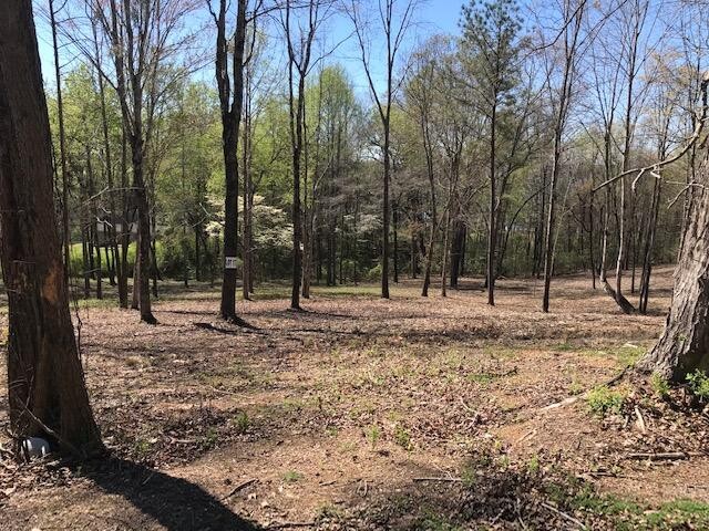 17 Piney View Drive Property Photo 1