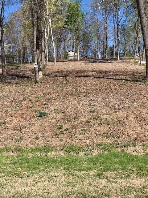 6 Piney View Drive Property Photo 1